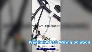 KBZE 1006889780 WEICHAI WP13 エンジン配線ハーネス LGMG SANY XCMG TONLY Mining ダンプトラック用